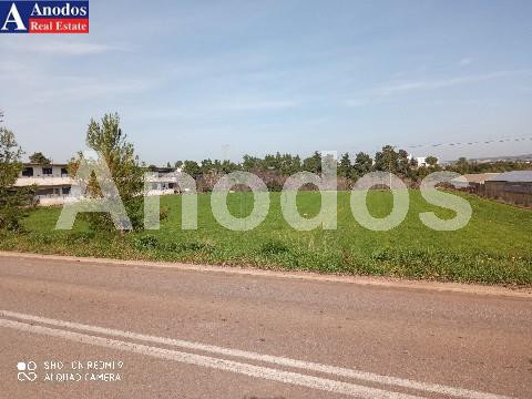 Οικόπεδο 15.500τ.μ. για πώληση-Αυλώνα