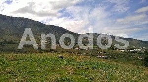 Land plot 31.000sqm for sale-Keratea » Plaka