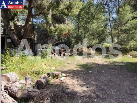 Οικόπεδο 1.577τ.μ. για πώληση-Μελίσσια » Άνω μελίσσια