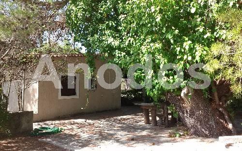 Land plot 11.000 sqm for rent