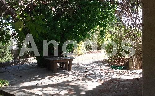 Οικόπεδο 11.000 τ.μ. πρός ενοικίαση, Αθήνα - Βόρεια Προάστια, Σταμάτα