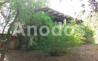 Οικόπεδο 11.000 τ.μ. προς ενοικίαση, Κέντρο Σταμάτας-thumb-2