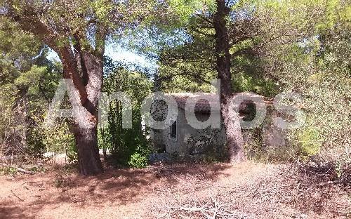 Οικόπεδο 11.000 τ.μ. πρός ενοικίαση, Αθήνα - Βόρεια Προάστια, Σταμάτα