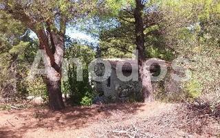 Οικόπεδο 11.000 τ.μ. προς ενοικίαση, Κέντρο Σταμάτας-thumb-3