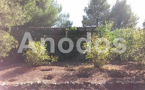 Οικόπεδο 11.000 τ.μ. πρός ενοικίαση, Αθήνα - Βόρεια Προάστια, Σταμάτα