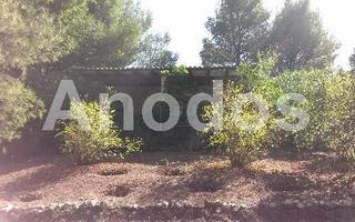 Οικόπεδο 11.000 τ.μ. προς ενοικίαση, Κέντρο Σταμάτας-thumb-4