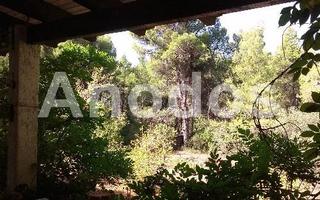 Οικόπεδο 11.000 τ.μ. προς ενοικίαση, Κέντρο Σταμάτας-thumb-5