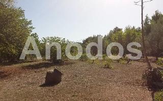 Οικόπεδο 11.000 τ.μ. προς ενοικίαση, Κέντρο Σταμάτας-thumb-7