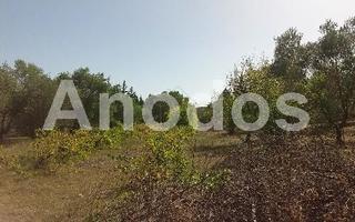 Οικόπεδο 11.000 τ.μ. προς ενοικίαση, Κέντρο Σταμάτας-thumb-8