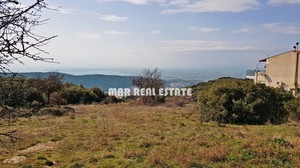 Αγροτεμάχια 11.560τ.μ. για πώληση-Χορτιάτης » Φίλυρο