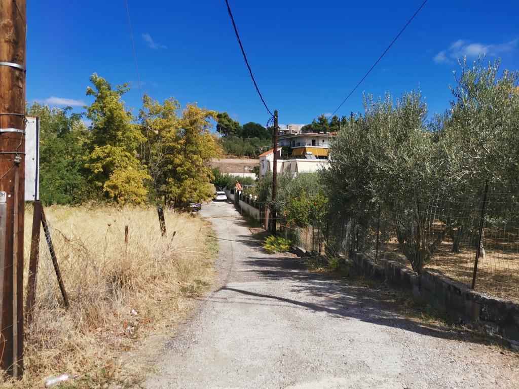 Οικόπεδο 400 τ.μ. πρός πώληση, Αττική - Υπόλοιπο, Ωρωπός