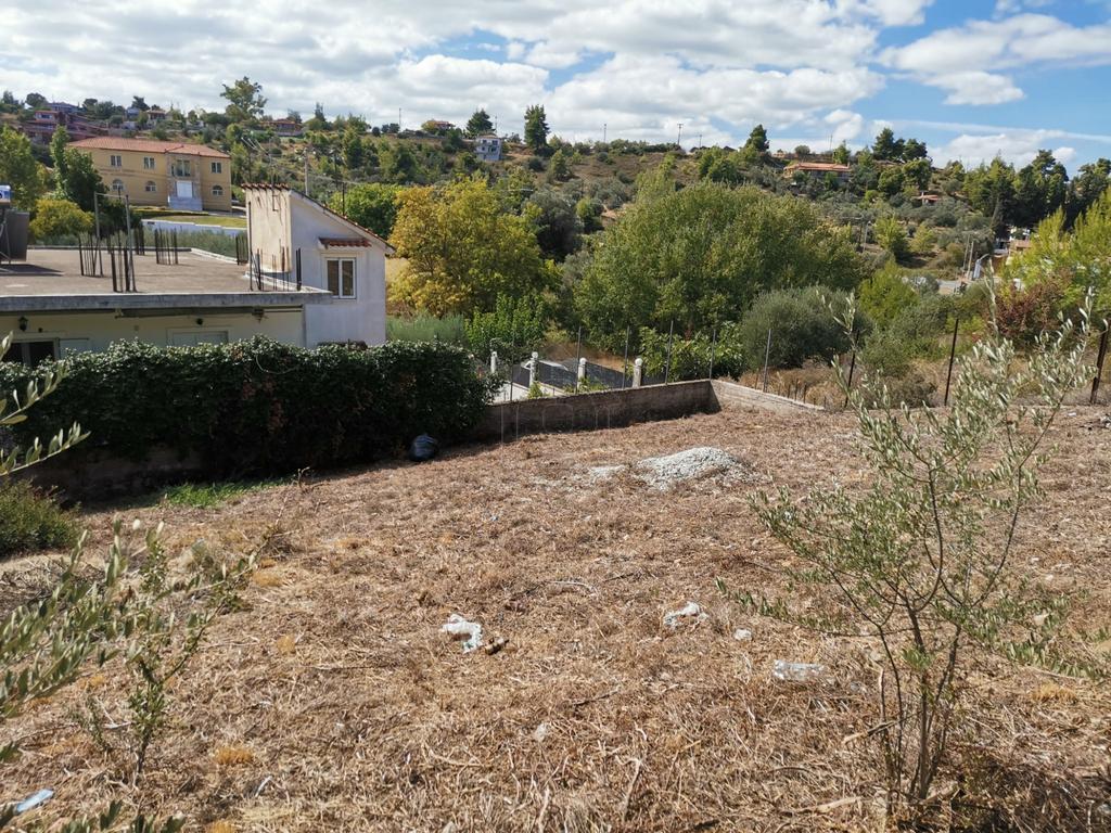 Οικόπεδο 400 τ.μ. πρός πώληση, Αττική - Υπόλοιπο, Ωρωπός