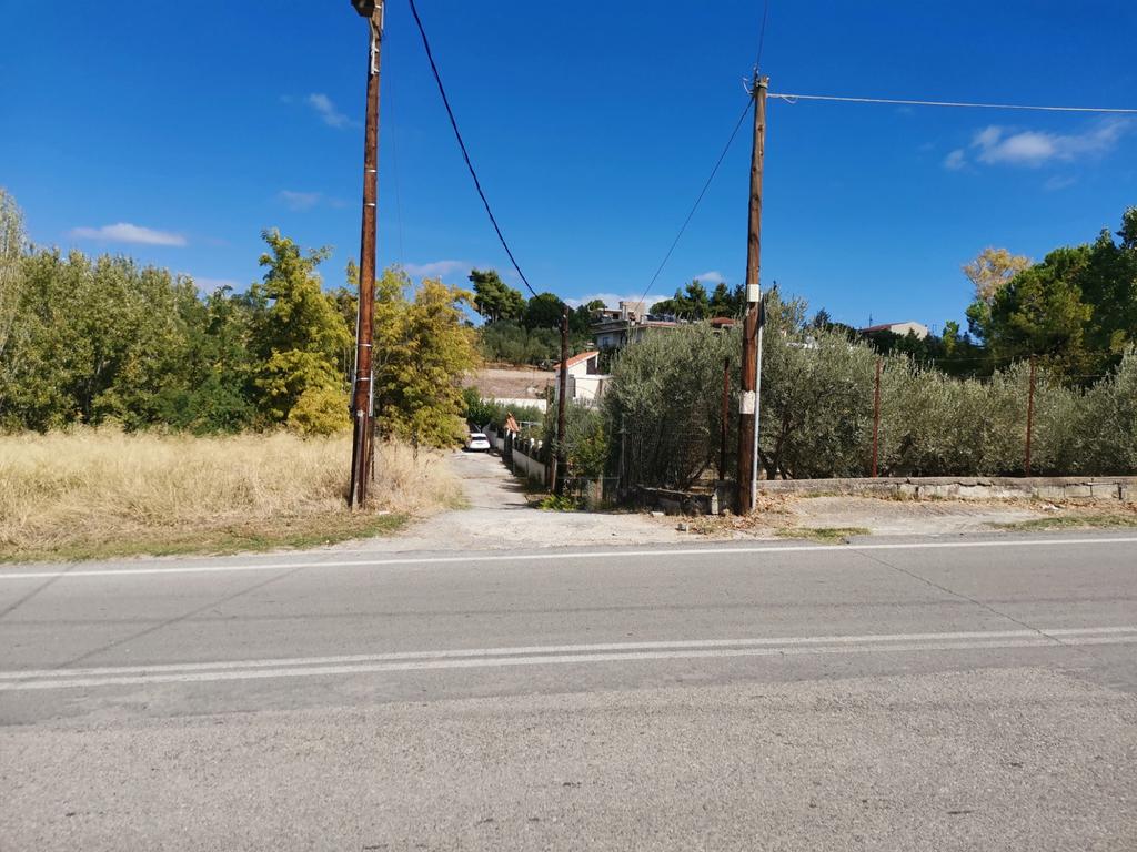 Οικόπεδο 400 τ.μ. πρός πώληση, Αττική - Υπόλοιπο, Ωρωπός