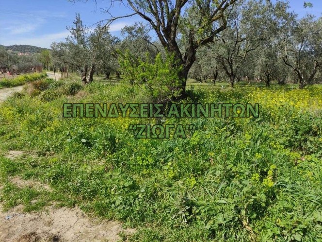 Parcel 4.470sqm for sale-Aisonia » Dimini