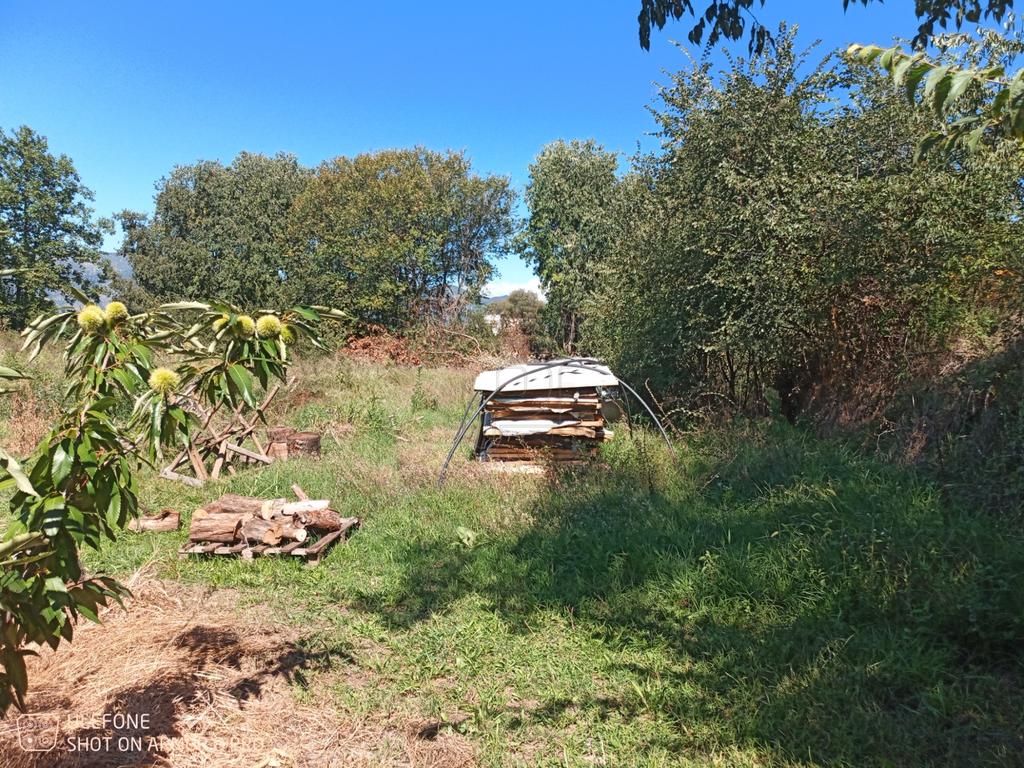 Αγροτεμάχια 1.500 τ.μ. για πώληση, Ν. Κοζάνης, Βελβεντός