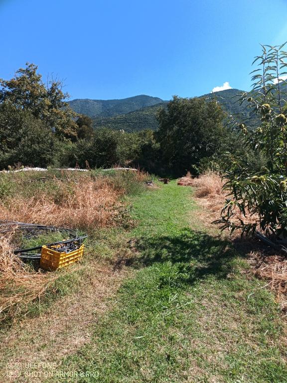 Αγροτεμάχια 1.500 τ.μ. προς πώληση, Ν. Κοζάνης, Βελβεντός