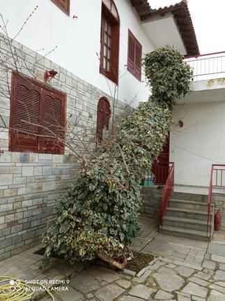 Μονοκατοικία 260 τ.μ. για πώληση, Θεσσαλονίκη - Περιφ/Κοί Δήμοι, Θέρμη