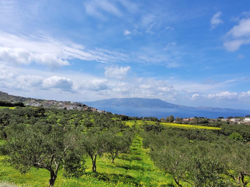 Οικόπεδο 2.074 τ.μ. προς πώληση, Ραβδούχα