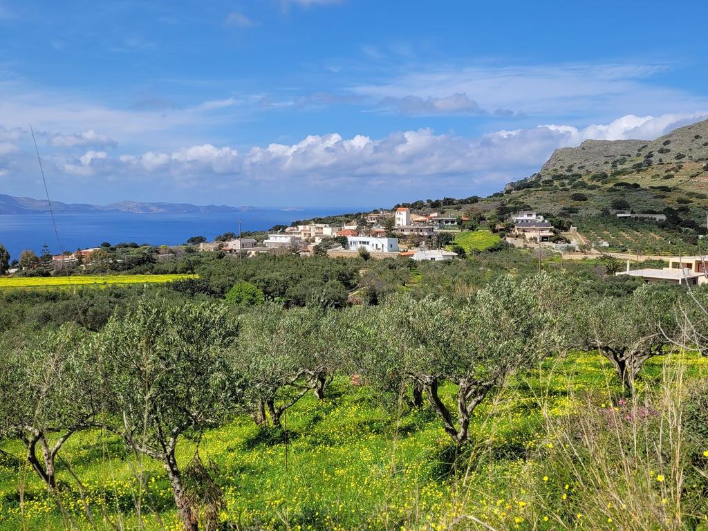 Οικόπεδο 2.074 τ.μ. προς πώληση, Ραβδούχα