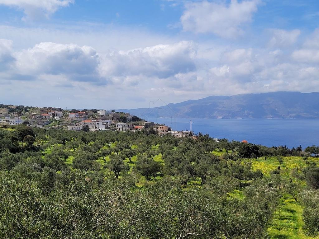 Οικόπεδο 2.120 τ.μ. προς πώληση, Ραβδούχα