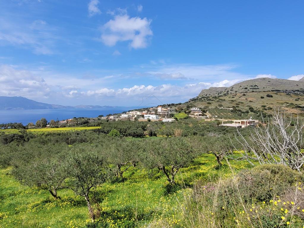 Οικόπεδο 2.120 τ.μ. προς πώληση, Ραβδούχα