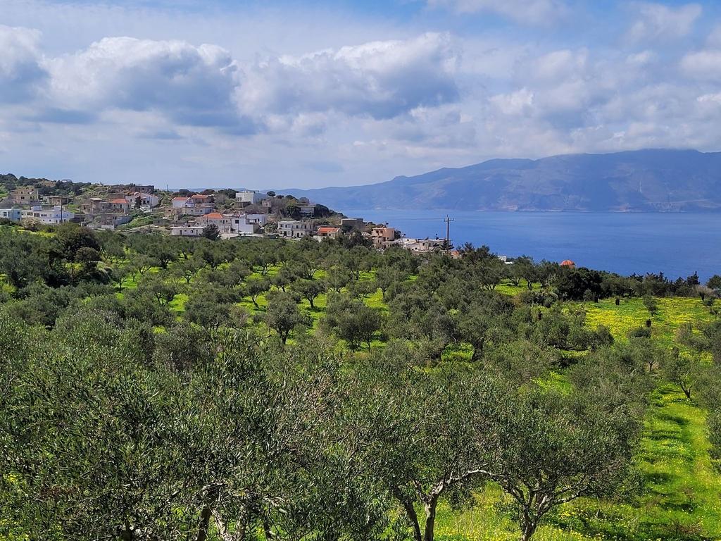 Οικόπεδο 2.120 τ.μ. προς πώληση, Ραβδούχα