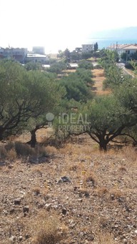 Land plot 7.497sqm for sale-Antirrio » Platanitis