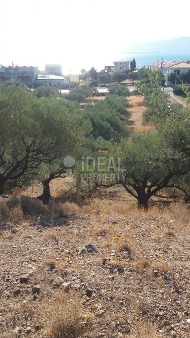 Land plot 7.497 sqm for sale, Aetolia & Acarnania, Antirrio