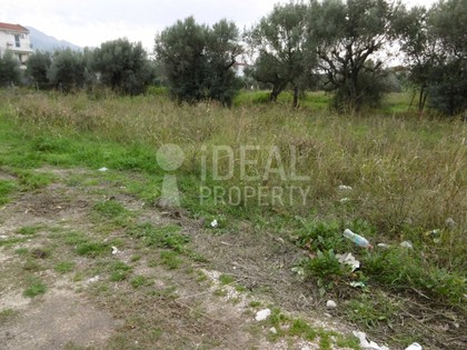 Land plot 974sqm for sale-Patra » Proastio