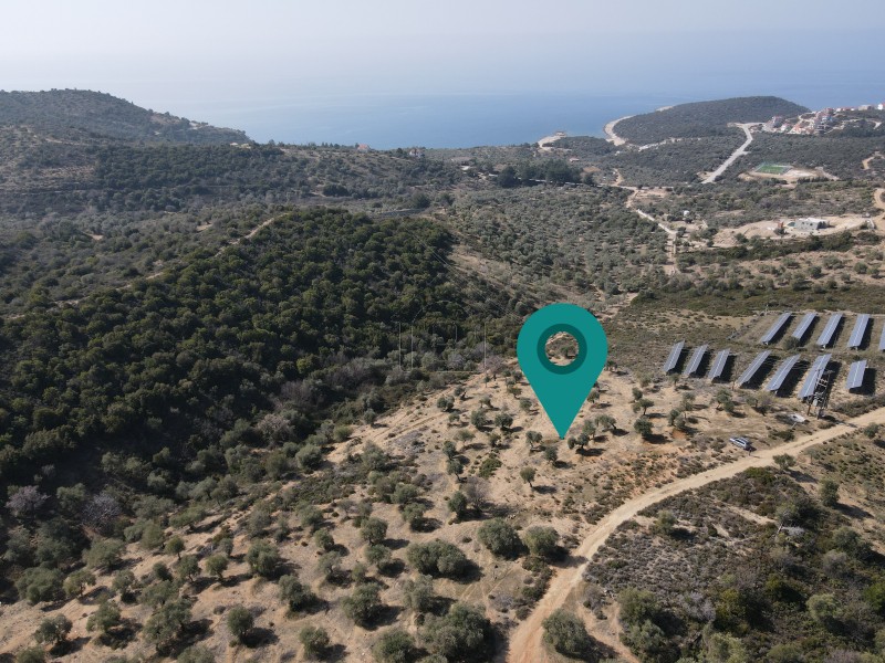 Αγροτεμάχια 5.945τ.μ. για πώληση-Θάσος » Σκάλα μαριών