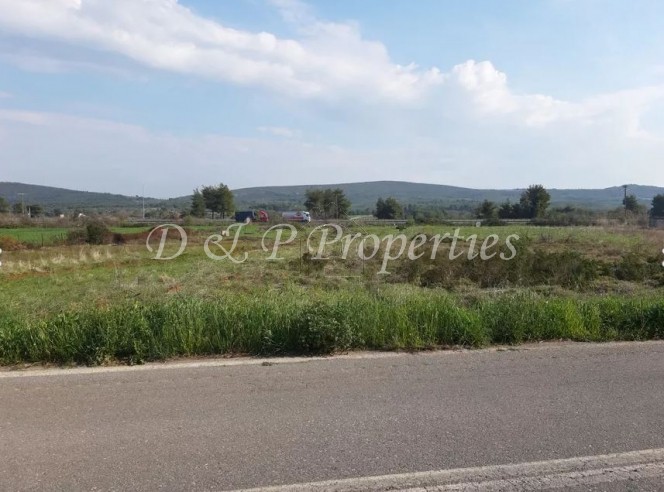 Αγροτεμάχια 10.000τ.μ. για πώληση-Αυλώνα