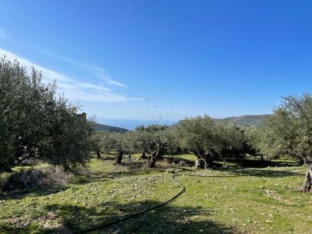 Land plot 2.300sqm for sale-Makris Gialos