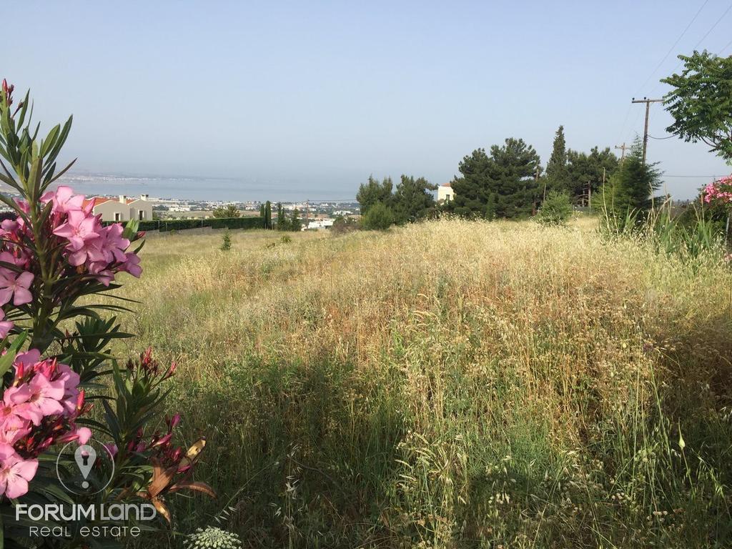 Αγροτεμάχια 7.767 τ.μ. προς πώληση, Κέντρο Πανοράματος