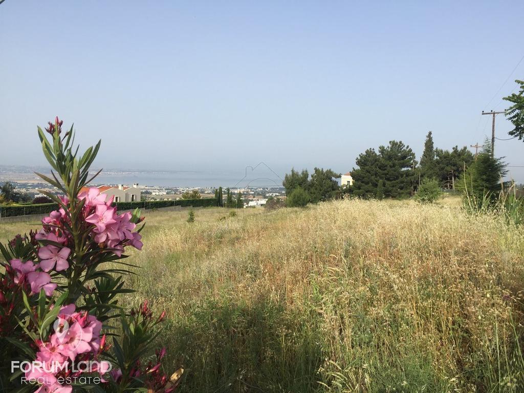 Αγροτεμάχια 7.767 τ.μ. προς πώληση, Κέντρο Πανοράματος