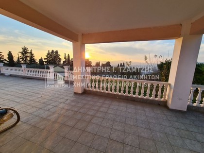 Detached home 140sqm for sale-Volos » Karagats