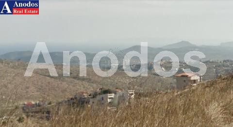 Οικόπεδο 1.050 τ.μ. για πώληση