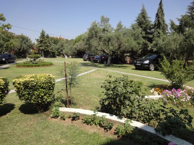 Other 225 sqm for sale, Chalkidiki, Pallini