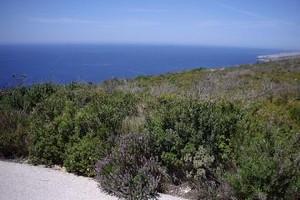 Οικόπεδο 11.000 τ.μ. πρός πώληση, Ζάκυνθος, Λαγανάς-thumb-5