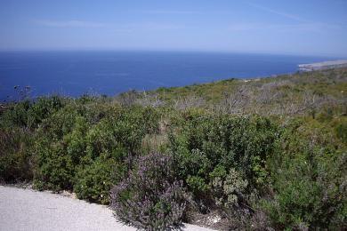 Οικόπεδο 11.000 τ.μ. πρός πώληση, Ζάκυνθος, Λαγανάς