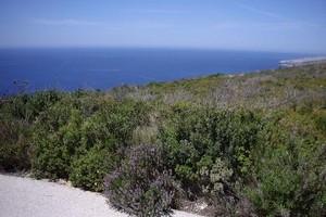 Οικόπεδο 11.000 τ.μ. πρός πώληση, Ζάκυνθος, Λαγανάς-thumb-1