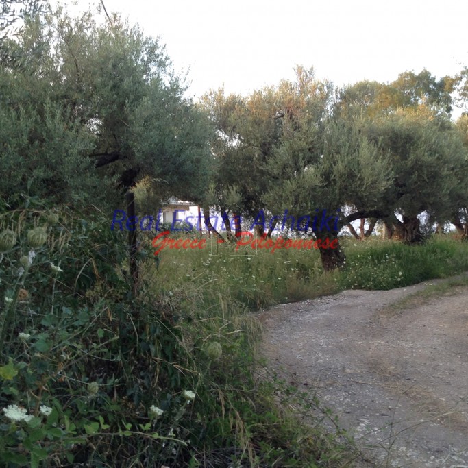 Οικόπεδο 800τ.μ. για πώληση-Διακοπτό » Διακοφτό