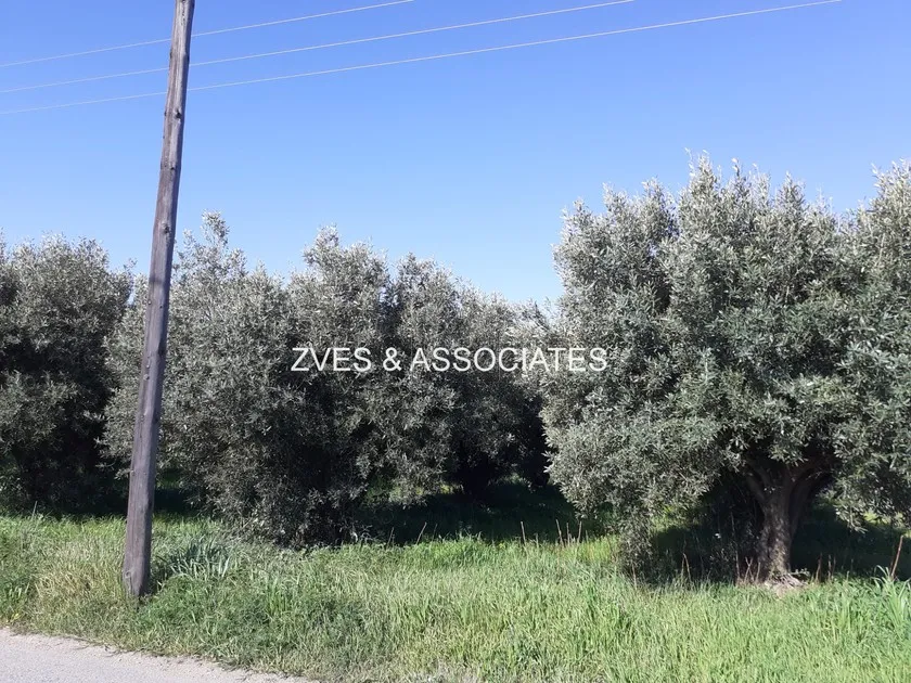 Parcel 4.200 sqm for sale, Thessaloniki - Suburbs, Epanomi