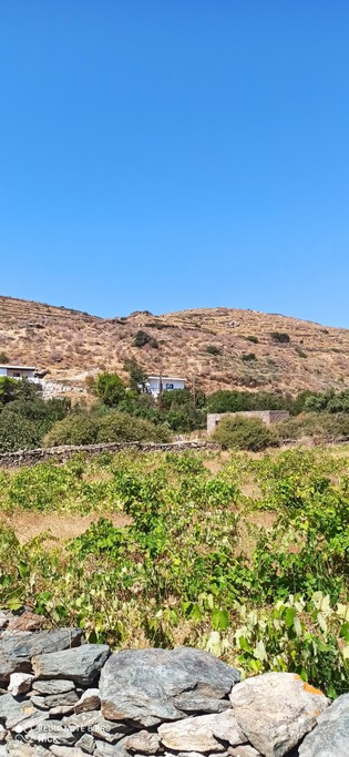 Οικόπεδο 16.500 τ.μ. για πώληση