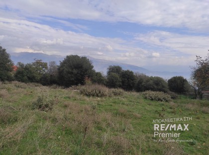 Land plot 1.127sqm for sale-Ioannina » Marmara