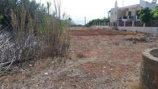 Οικόπεδο 292 τ.μ. προς πώληση, Ν. Λασιθίου, Μακρύς Γιαλός-thumb-1