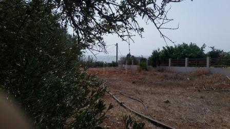 Οικόπεδο 292 τ.μ. προς πώληση, Μακρύς Γιαλός Λασιθίου