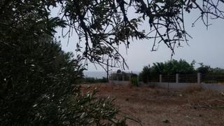 Οικόπεδο 292 τ.μ. προς πώληση, Ν. Λασιθίου, Μακρύς Γιαλός-thumb-5