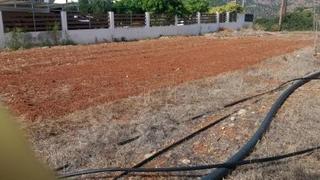 Οικόπεδο 292 τ.μ. προς πώληση, Ν. Λασιθίου, Μακρύς Γιαλός-thumb-6