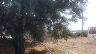 Οικόπεδο 292 τ.μ. προς πώληση, Ν. Λασιθίου, Μακρύς Γιαλός-thumb-10