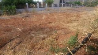 Οικόπεδο 292 τ.μ. προς πώληση, Ν. Λασιθίου, Μακρύς Γιαλός-thumb-13